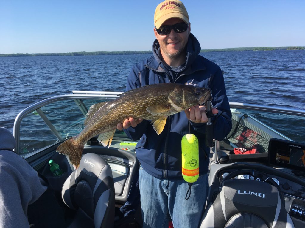 Best Time to Fish for Walleyes in Minnesota