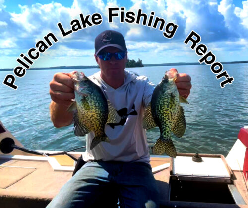 2022 Late August Fishing Report
