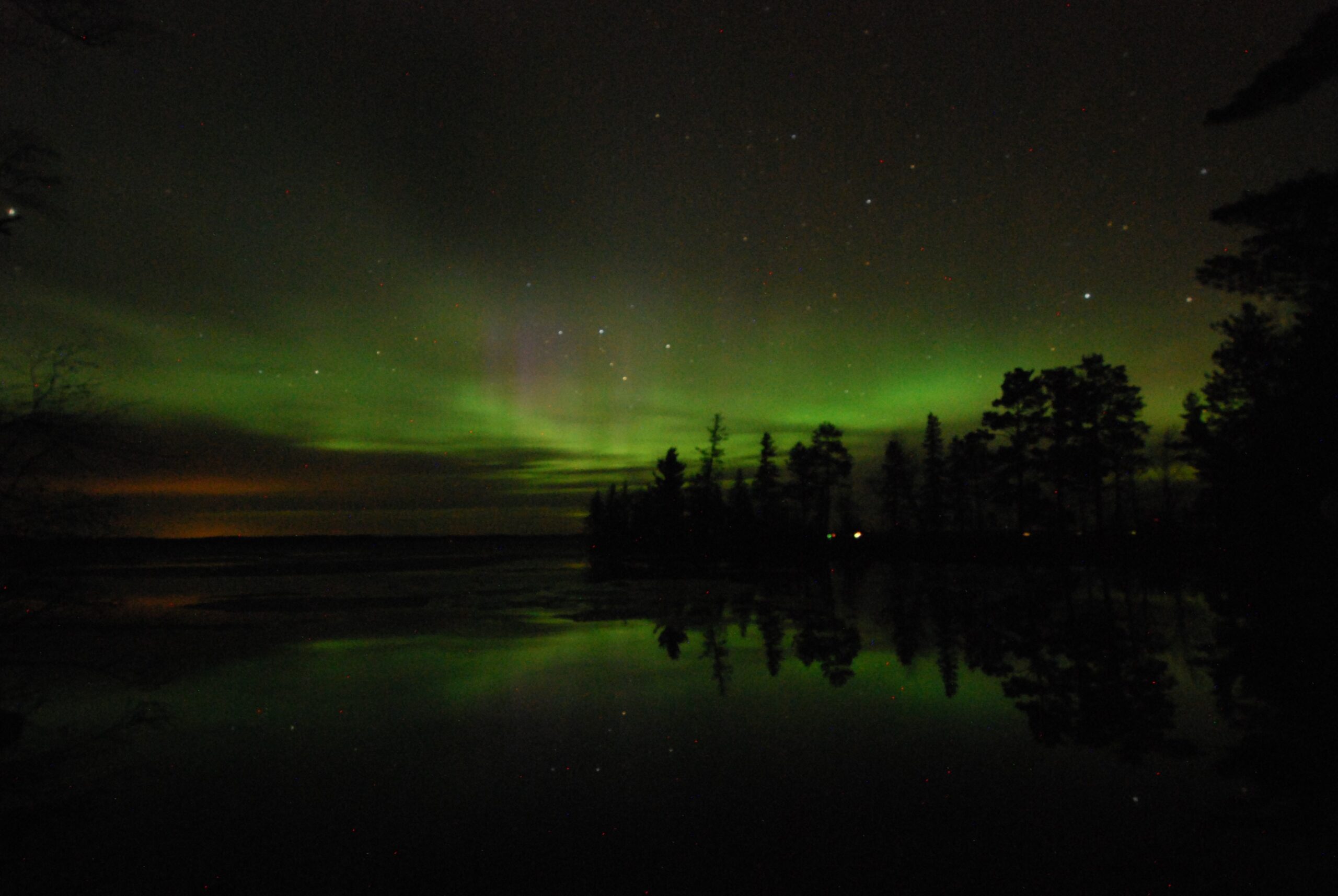 northern lights at Birch Forest Lodge
